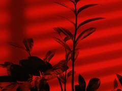 어둠별 타입 샘플 모음