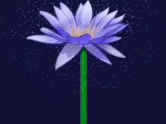 [수하우키] 평생을 함께하는 꽃잎 아래