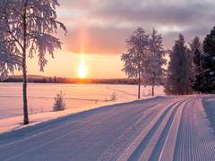 설강화(雪降話)