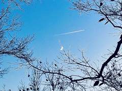 마음을 드려요 01