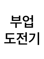 끈기 없는 사람의 부업 도전기