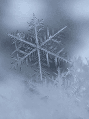 (팬픽) (동결세계) 연옥유랑