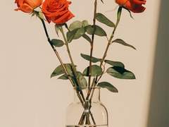 꽃이 전하는 마음