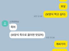 원신 카톡 카피페