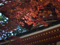 남영에서의 3일(四)