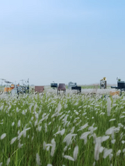 세븐틴 논페스 800자 챌린지