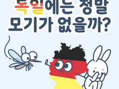 독일에는 정말 모기가 없을까?