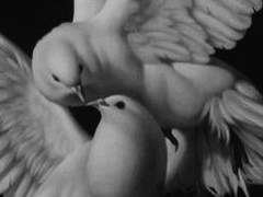 SMKB 에스테반 헬포드 프로필