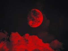 희망과 좌절은 공존하기 마련!