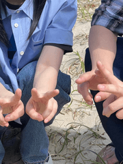 반짝이는 워터멜론