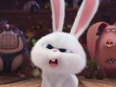 23.11.21 이유 없는 귀찮음