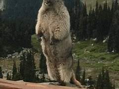 세상이 억까한다..