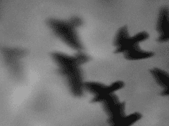 [휴고｜36｜야광]