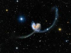 커뮤 러닝 목록