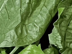 우리 계약 할래요?_2화