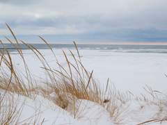 불가능성 선택 4. 객동지해