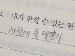 드무위키—⭐️