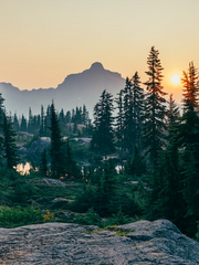 어서 오세요, 포레스트 마을에!