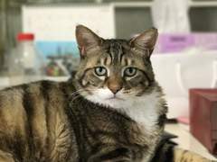 [글쓰기] 마음의 거미줄을 걷어내는 글쓰기