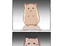 자와.. 자와.. 브러쉬