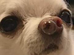 버뮤다 삼각지대📐🌊 中