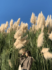 그렇게 나는 취준생이 되었다.