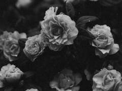 내가 그랬다고 해