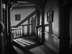 오늘은 웬일인지 네 생각이 나지 않았다며 우습게도 네 생각을 했다*