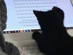 고양이도 게임을 할 수 있나요? 3