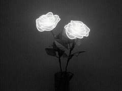 귀여운 아이들에겐 미안합니다!