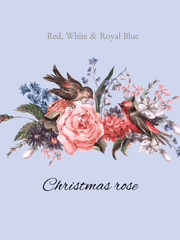 𝐂𝐡𝐫𝐢𝐬𝐭𝐦𝐚𝐬 𝐫𝐨𝐬𝐞