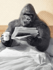 어떤 탐정의 하루 