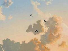 봄에 피는 꽃과 여름에 피는 꽃은 다른 것을 알면서도