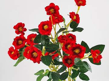 [설정] 동백꽃 피는 밤에