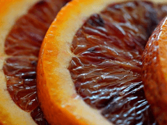 쾌락 없이 살기 15일차(다시 1일차로)