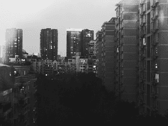 눈물의 본국저승송환기 00