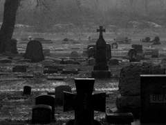 페르세포네 마르시아/527세/사신/xx