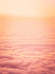 꿈과 잠들지 않은 밤에 대해서