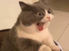 고증 개망한 로판 빙의하기^^++