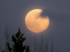 [소을]스웨덴에서의 밤