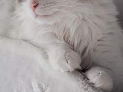 [망각해(海)]이설화(李雪花)/xx/24years old