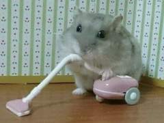 나페스 타로 맛집에서 엔시티 쟈니의 하녀로 일하고 온 후기