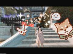 초쿼보 언약 찾다