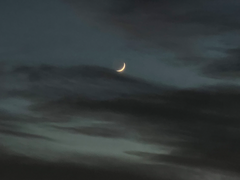 epilogue(소방서옆경찰서.ver)