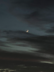 의뢰와 사건? 처벌과 감옥?