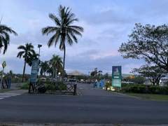 11월 15일) 열대지방의 사이클론을 경험하다