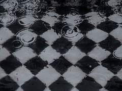 𝑇𝑜 𝑚𝑦 𝑠𝑙𝑒𝑛𝑑𝑒𝑟 𝑚𝑒𝑚𝑜𝑟𝑖𝑒𝑠.