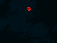 1우릴 구해준 사람들