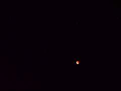 우릴 구해준 사람들