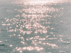 우리는 서로의 파랑이 되고 싶었던 거야